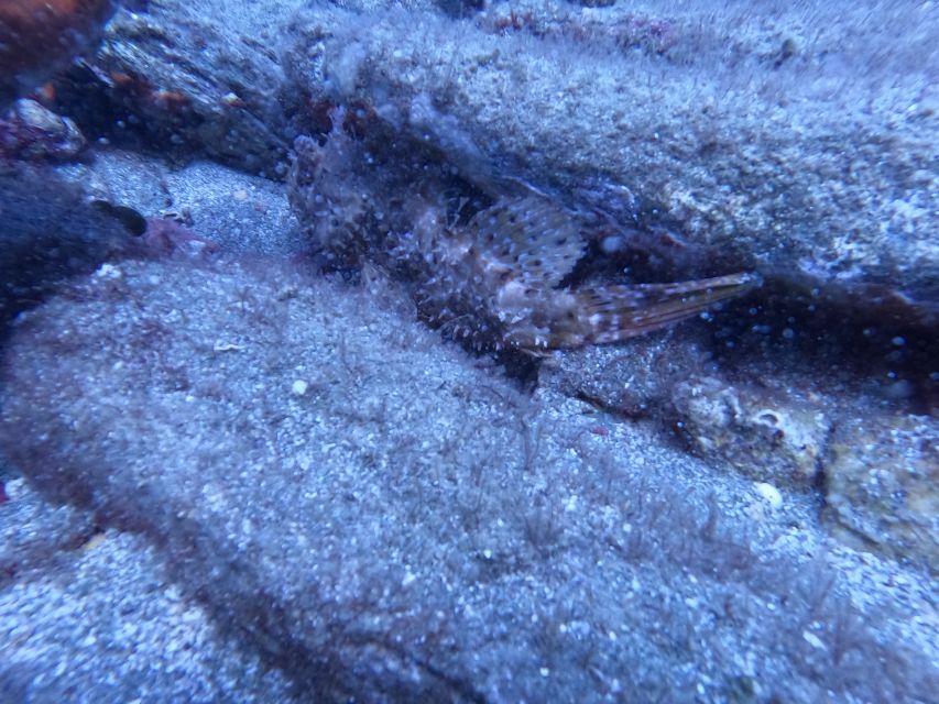 Heraklion: Scuba Diving Experience for Beginners _Beach - Key Things I Think You’ll Care About