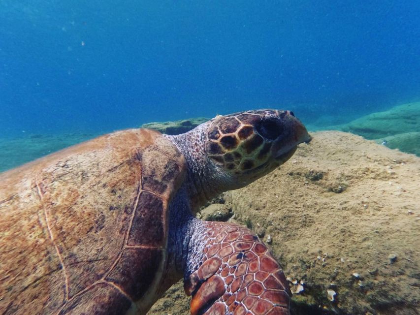 Heraklion: Scuba Diving Experience for Beginners _Beach - Timing, Getting There, and Why the Day Can Feel Longer