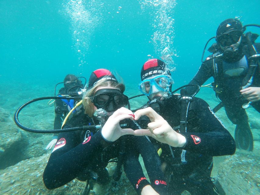 Heraklion: Scuba Diving Experience for Beginners _Beach - What the 30-Minute Digital Theory Teaches You