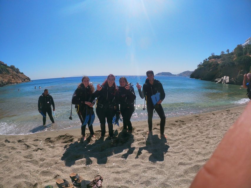 Heraklion: Scuba Diving Experience for Beginners _Beach - Marine Life in Agia Pelagia: What You Can Expect to See