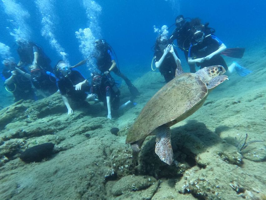 Heraklion: Scuba Diving Experience for Beginners _Beach - Safety and Comfort: Why the Instructor Ratio Matters