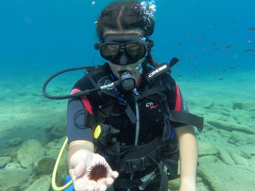 Heraklion: Scuba Diving Experience for Beginners _Beach - Equipment, What’s Provided, and What You Should Watch For