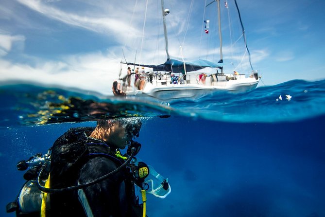 Heraklion: Scuba Diving Experience for First-Timers - Key Highlights I’d Prioritize
