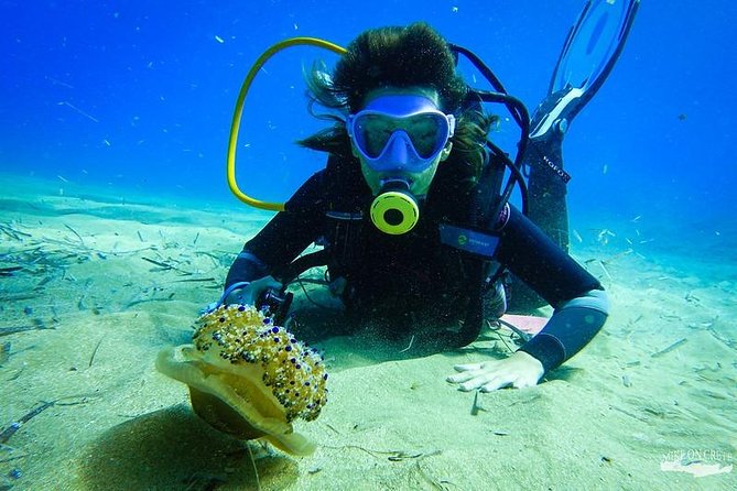 Heraklion: Scuba Diving Experience for First-Timers - Ligaria Water Time: What the Underwater Session Feels Like