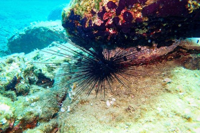 Heraklion: Scuba Diving Experience for First-Timers - The Itinerary in Plain English (and Why Each Step Matters)