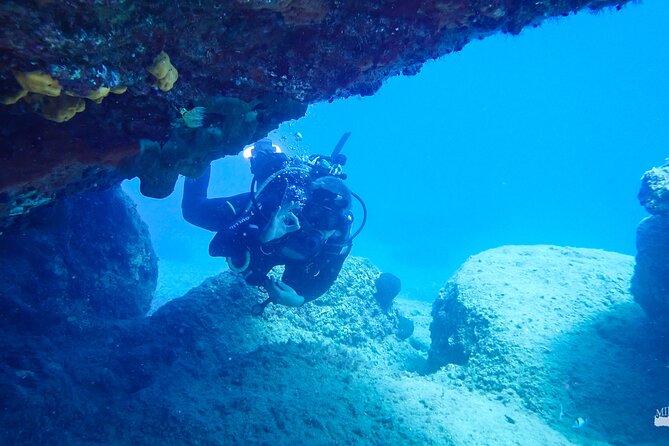 Heraklion: Scuba Diving Experience for First-Timers - Price and Value: What $82 Covers (and What It Doesn’t)
