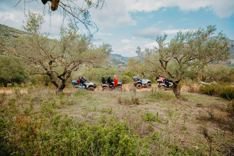 Hersonissos: ATV Quad Bike Safari in the Mountains of Crete - Automatic quads and a guide who sets the pace