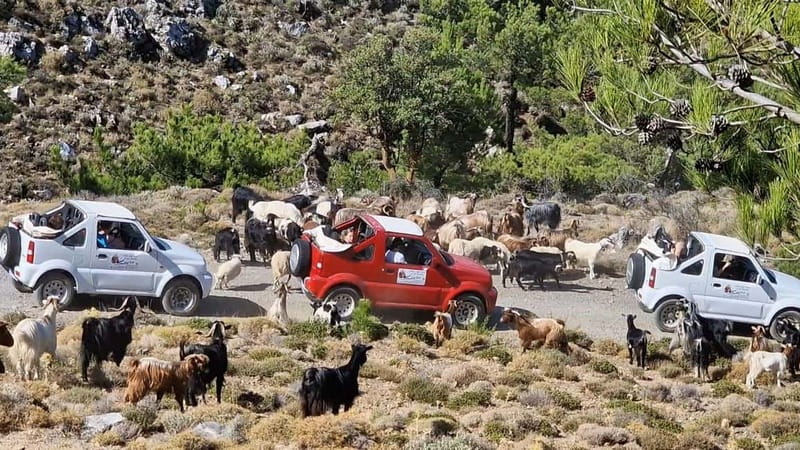 Jeep Driving Tour to Thripti Mountains and typical villages - Why this Jeep route feels like the wild heart of East Crete