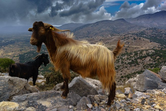 Katharo Route Tour from Agios Nikolaos - Psychro, Zeus, and Dikteo Cave: Myth Meets the Practical