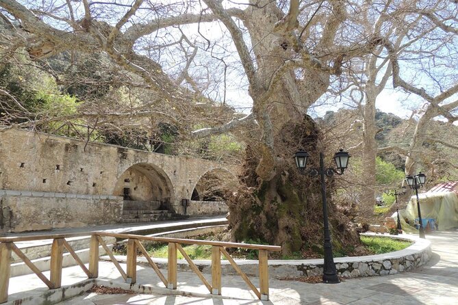 Knossos & Lasithi Plateau: Zeus Cave,Villages, Olive Oil Tour - Krasi: The 2,000-Year Plane Tree Stop (and How to Use It)