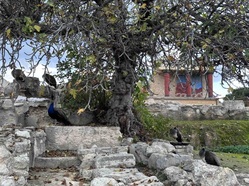 Knossos Palace Skip-the-Line Ticket & Private Guided Tour - Photo stops and shade strategy: making the ruins easier to enjoy