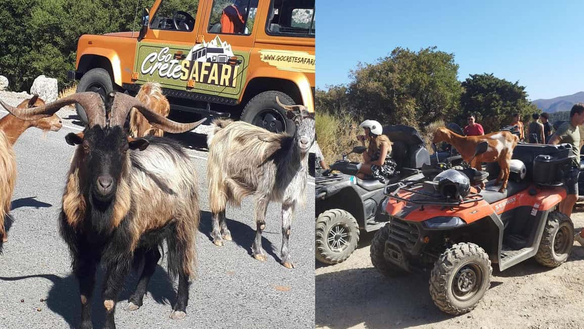 Malia: Off-Road Quad Safari Tour with Lunch and Transfers - Pickup, small-group pacing, and how to plan your day