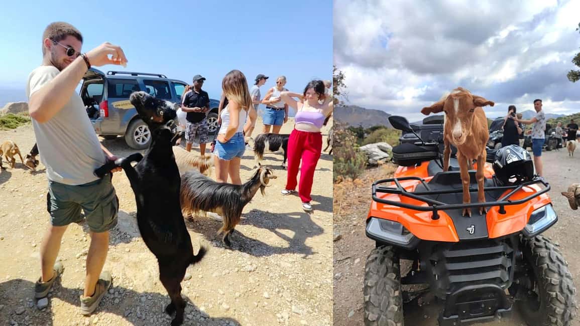 Malia: Off-Road Quad Safari Tour with Lunch and Transfers - Price and value: why $89 feels fair for 6 hours