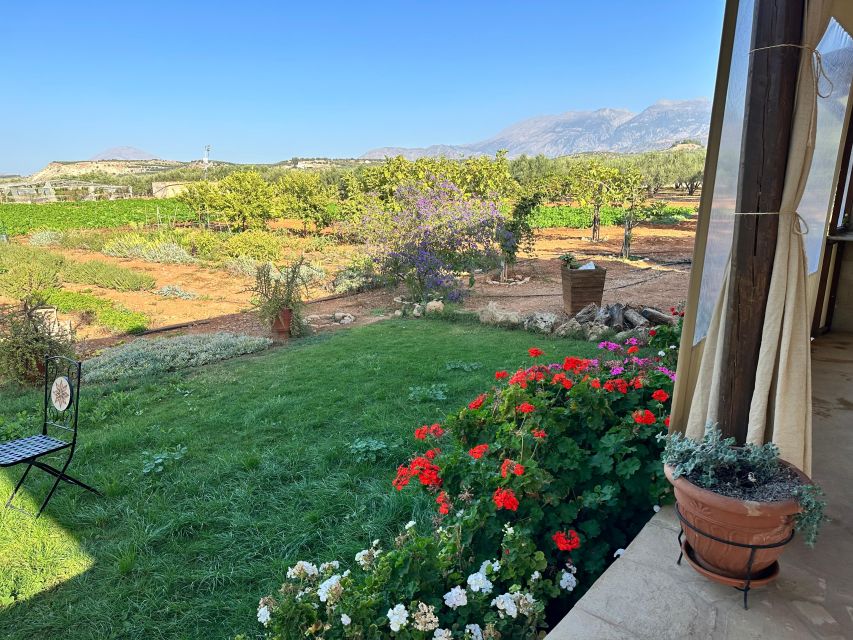 Moires: Cooking Class and Olive Oil Tasting at a Family Farm - Your 3-course meal, plus wine and the stuff you can bring home