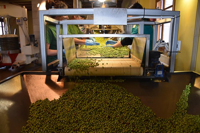 Olive Oil Tasting Tour - Getting started at Koronekes: courtyard first, then the mill