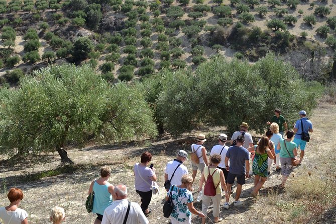 Olive Oil Tasting Tour - What makes the staff and format feel worth it