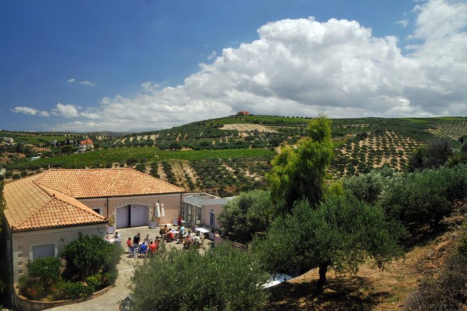 Olive Oil Tasting Tour - Timing: 1 hour to 1 hour 20 minutes, and how to plan around it