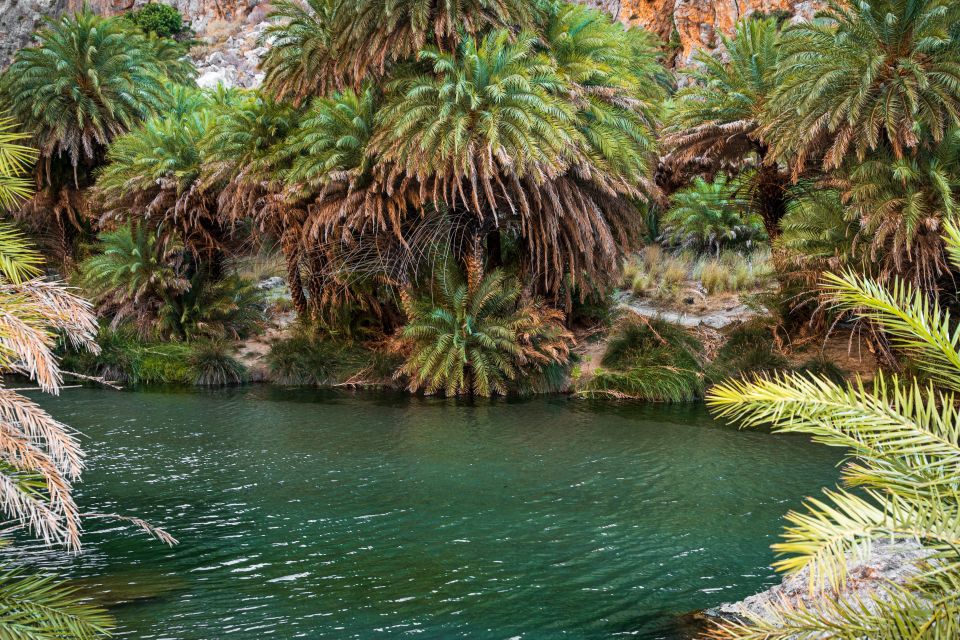 Rethymno: Preveli Beach Damnoni Beach Kourtaliotiko Day Trip - Price and Value: What $25 Buys, and What Costs Extra