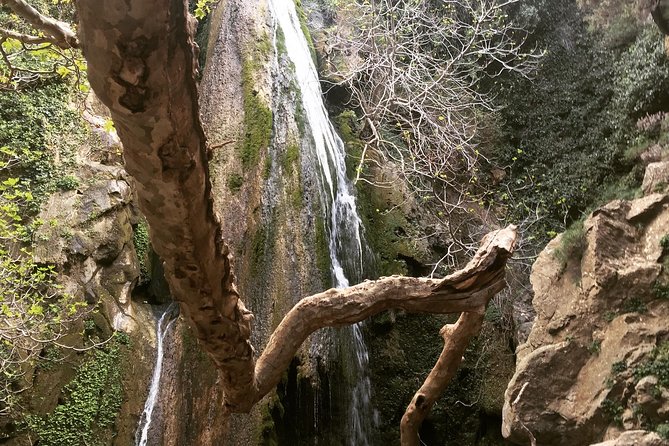 Richtis Waterfall, History, Azoria, OliveTasting, NorthCoast - How the 4x4 Land Rover shapes your whole day