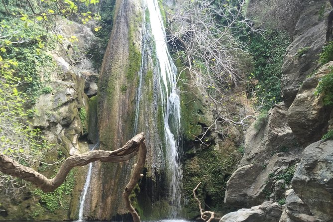Richtis Waterfall, History, Azoria, OliveTasting, NorthCoast - Agios Nikolaos olive oil tasting at a family factory