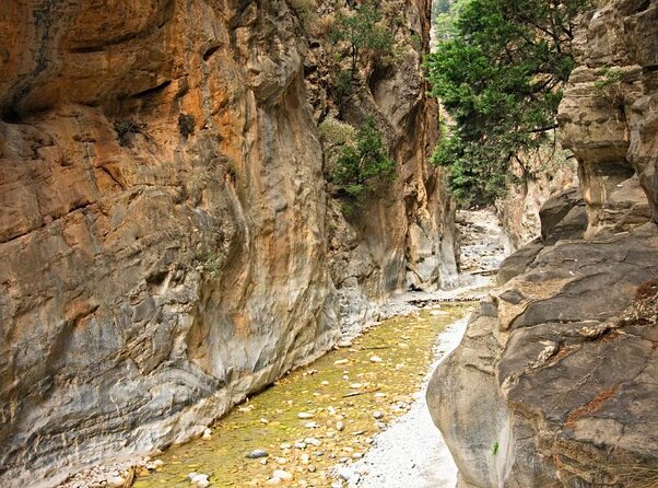 Samaria Gorge Hiking from Chania with Professional Hiking Guide - Agia Roumeli: Your Reward Beach, Plus the Catch With Timing