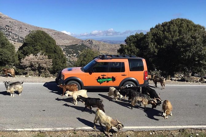 Sarakina Gorge, Kritza, Oliveoil Tasting, Mountains, South Coast - A Land Rover day through Crete’s interior and South Coast