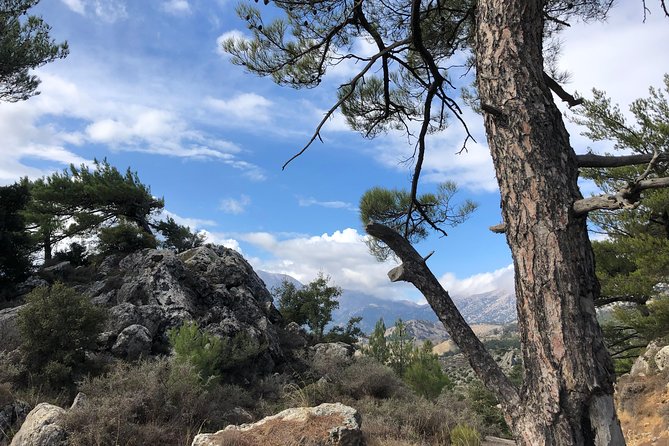 Sarakina Gorge, Kritza, Oliveoil Tasting, Mountains, South Coast - Lunch at a scenic taverna: the part where the day levels up