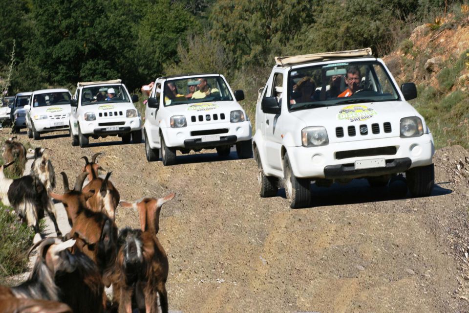 Self-Drive Jeep Safari to South Coast, Palm Beach & Canyons - Regional food stop and lunch: what included means for your budget