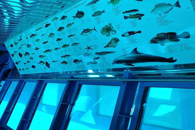 Semi-Submarine Tour from Agios Nikolaos - Who This Tour Is Best For (and Who Might Want a Different Day)