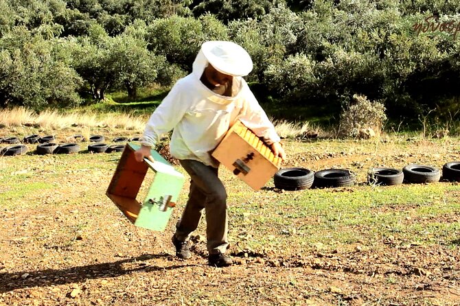 Small-Group Honey & Extra Virgin Olive Oil Tasting Tour in Crete - Key Points Worth Your Time