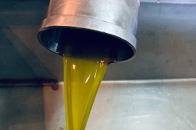 Small-Group Honey & Extra Virgin Olive Oil Tasting Tour in Crete - Honey and Beekeeping: What You Learn Before You Taste