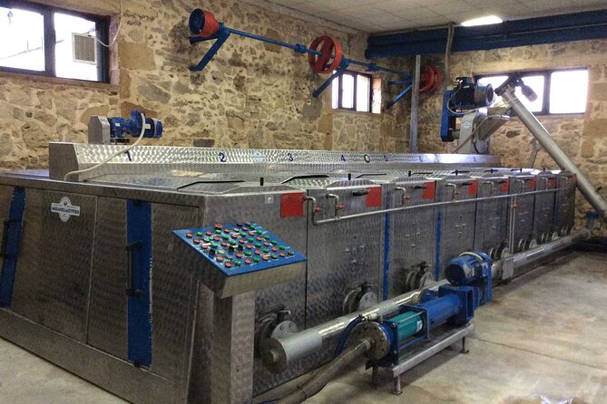 Small-Group Honey & Extra Virgin Olive Oil Tasting Tour in Crete - Shopping for Take-Home Flavor Without the Hard Sell