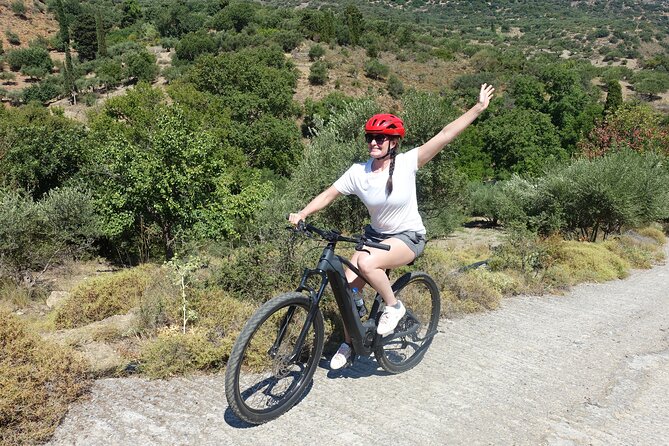 Small Villages and Cretan Nature. E-Bike tour - Down Aposelemis Canyon and through village lanes