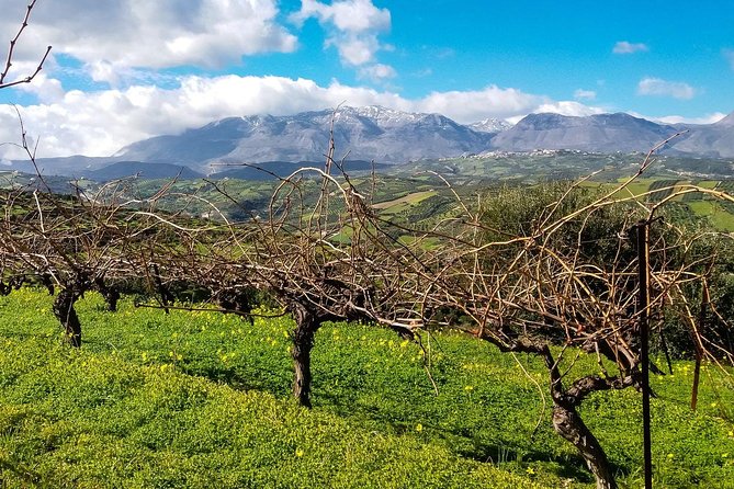 The Gourmet Wine Tour of Heraklion area - The wine amount: it’s generous, so plan like a pro