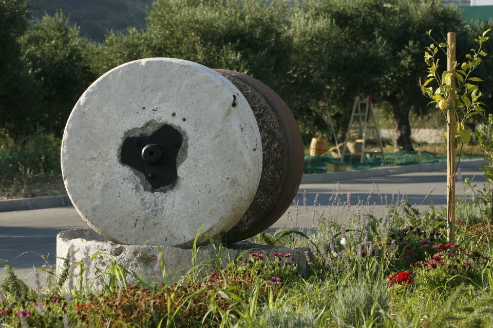 The Terra Creta Olive Oil Experience Tour - Guided tasting of 3 olive oils: the part you’ll remember at home