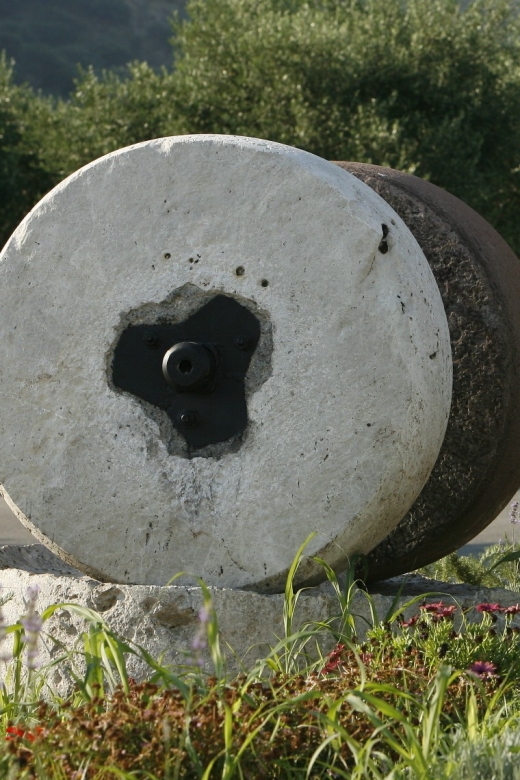The Terra Creta Olive Oil Experience Tour - Price and value: is $11 really enough?