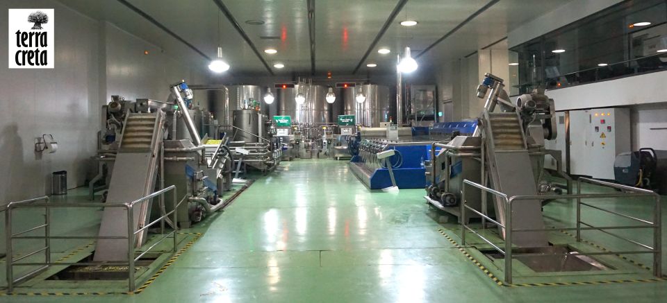The Terra Creta Olive Oil Experience Tour - Who should book this Terra Creta olive oil experience
