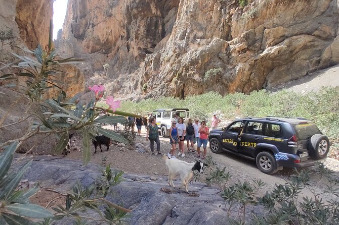 Trypiti beach and gorge Jeep Safari - Olive-Grove Lunch at Agisilaos–Stella Taverna