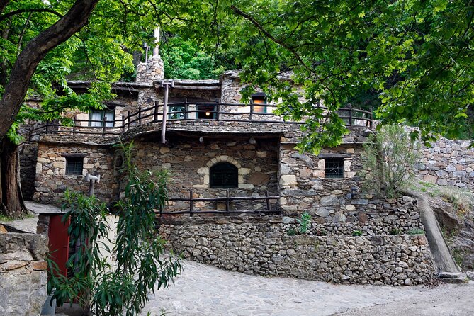 Wine & Olive Oil Tour with Lunch at Milia Mountain Retreat - Key highlights worth your attention